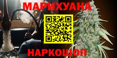 мдпв Гай