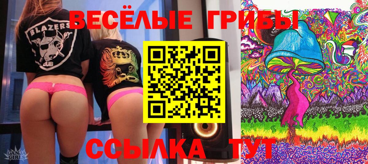 Сергиев Посад  Галлюциногенные грибы прущие грибы  Галлюциногенные грибы GOLDEN TEACHER  Вход с VPN 